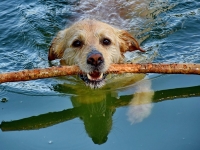Doris-Juli-BIld-scaled