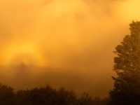 "Halo" im Nebel