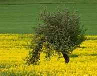 791_22x17_bild