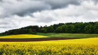 806_30x17_bild