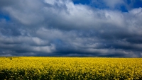 814_30x17_bild