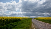 833_30x17_bild