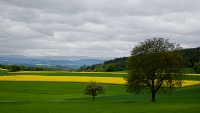 837_30x17_bild