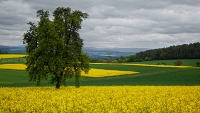 841_30x17_bild