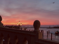 Venedig 20